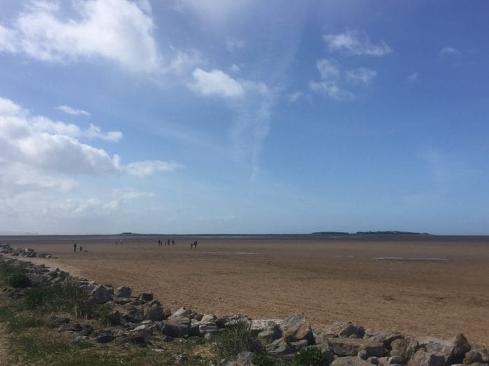 Beach dog ban plan axed