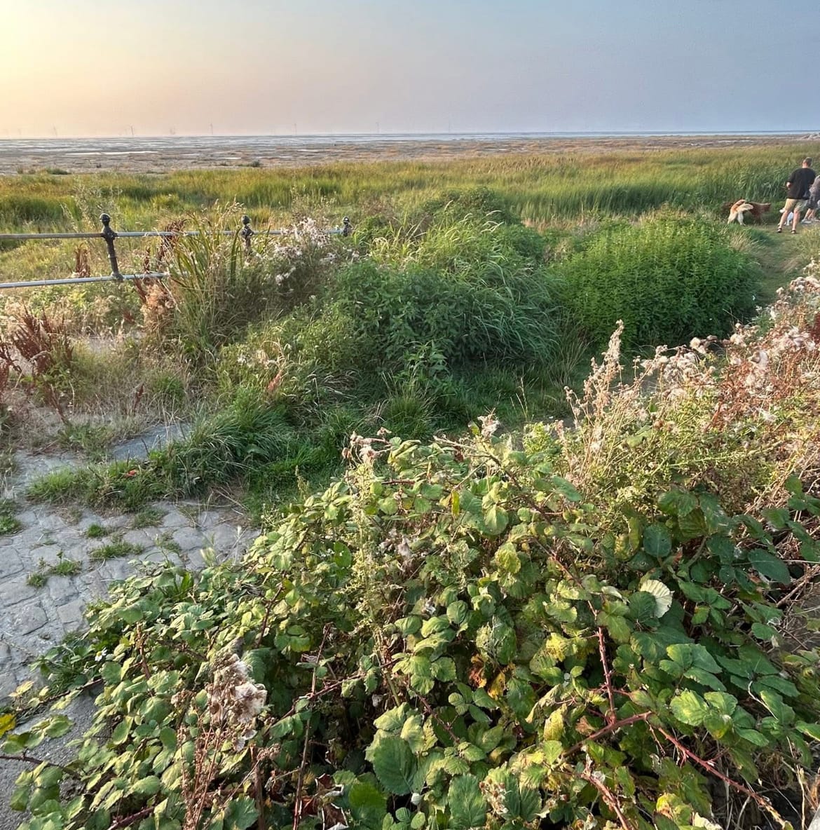 Council faces legal challenge over access to Hoylake beach