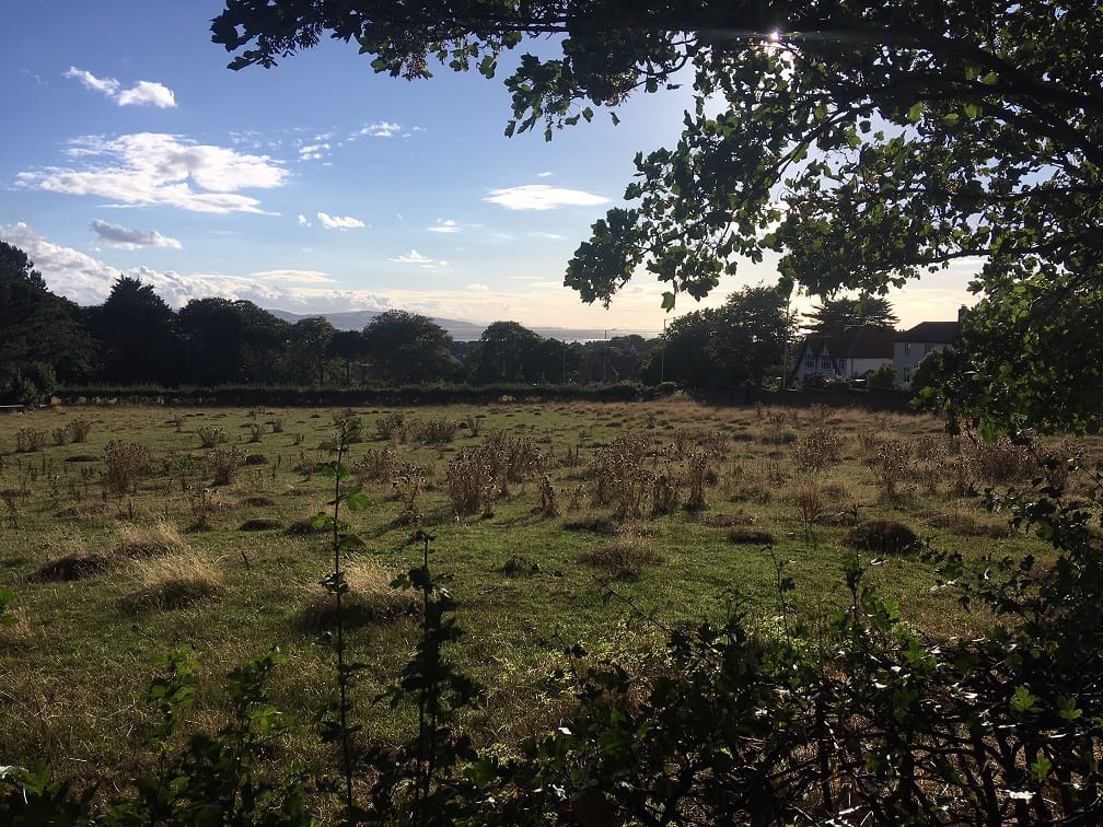 Green space designation to protect West Kirby sites from housing development