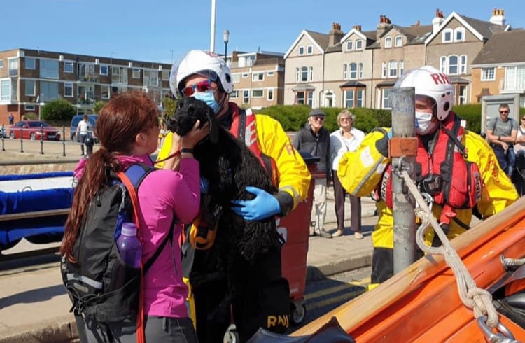RNLI speed to rescue Comet the dog