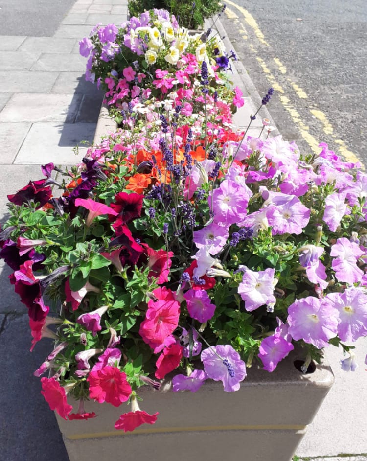 The volunteers making West Kirby bloom!