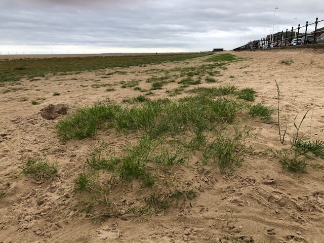 Natural England rejects Hoylake amenity beach plan