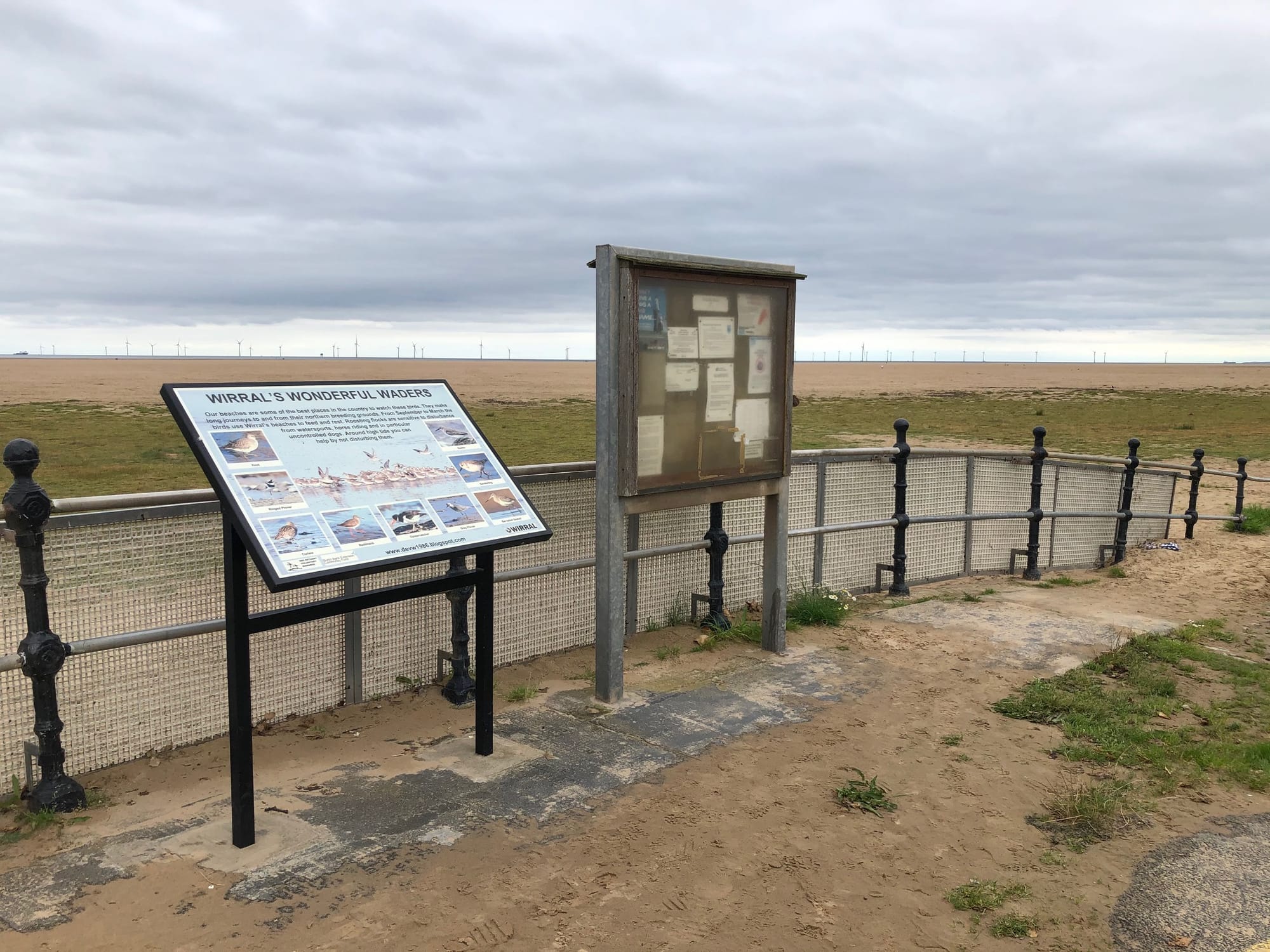 Hoylake beach 'village green' application consultation begins