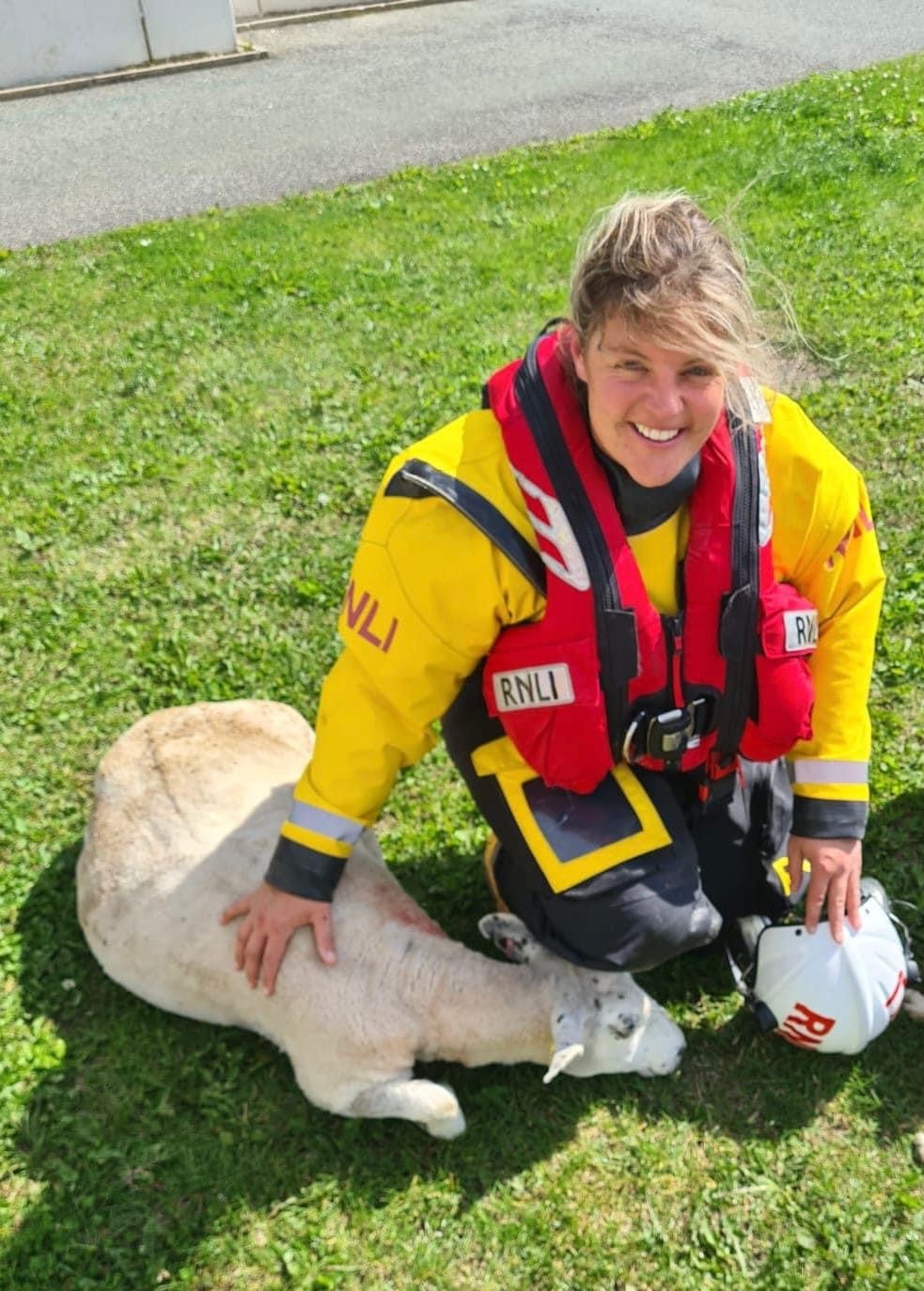 Sheep rescued from sandbank by RNLI