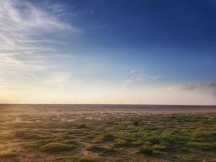 Council to start Hoylake 'amenity beach' discussions with Natural England