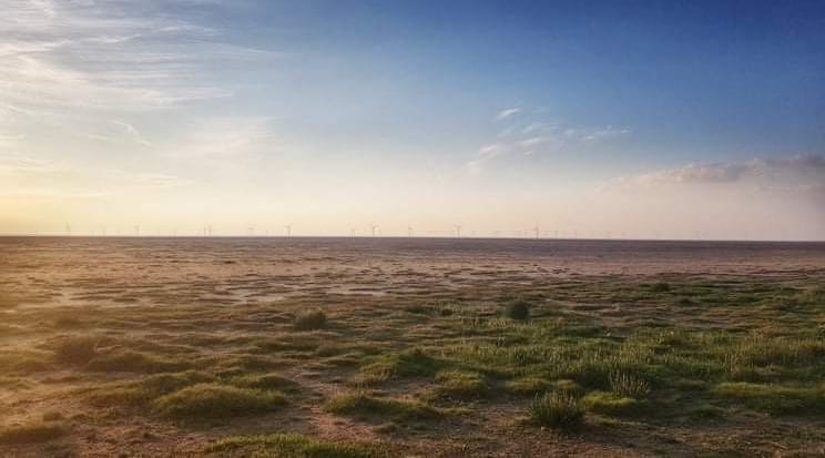Time is running out to have a say on Hoylake beach options