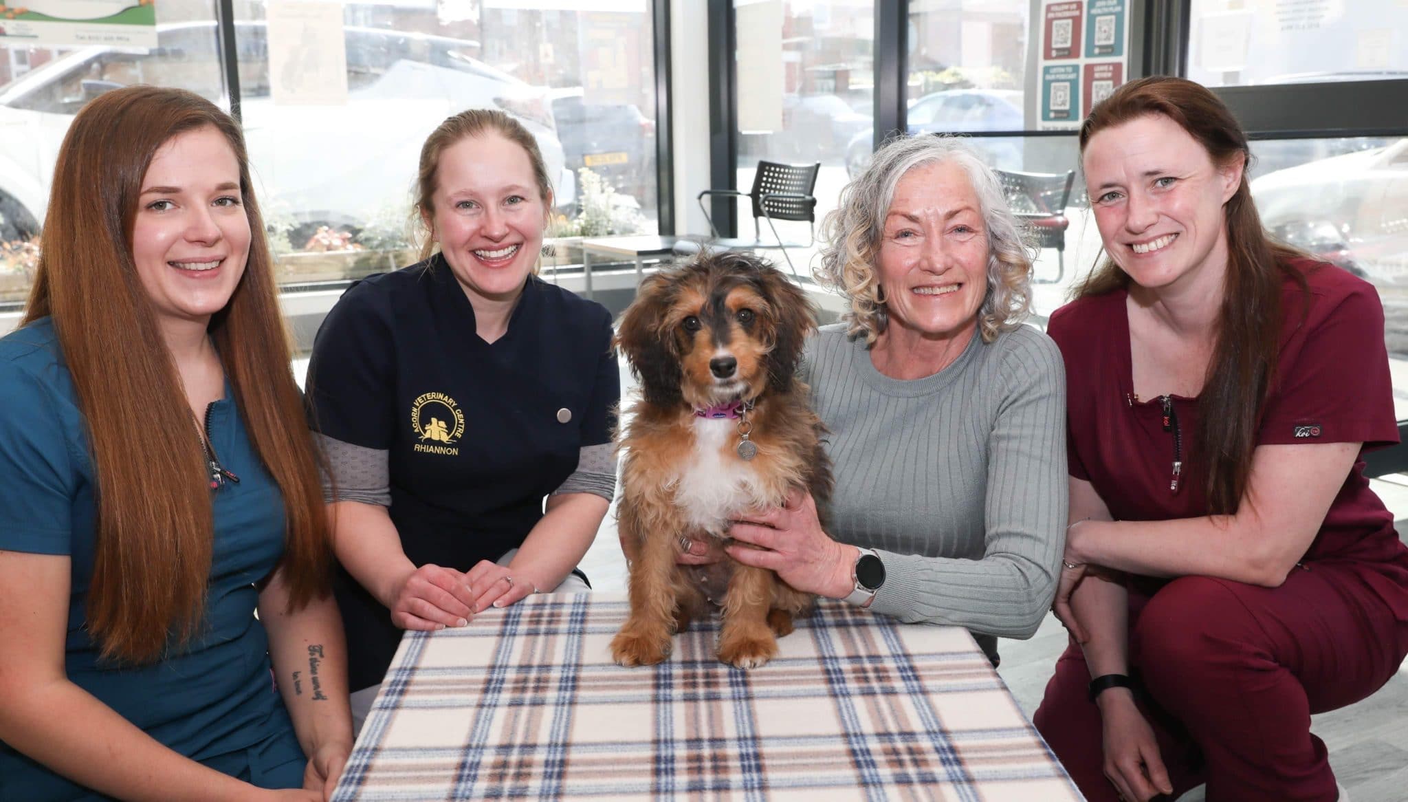 Life-saving surgery for puppy who couldn't poo