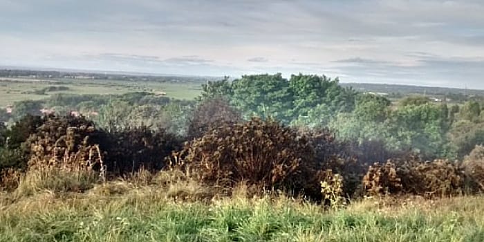 More fire damage at Grange Hill. Photo courtesy of West Kirby Today reader @Scarf_Addict 