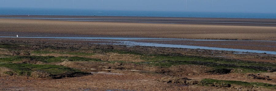 A guide to walking to Hilbre Island