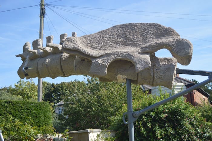 Part of the giant dinosaur replica skeleton