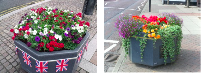 Hoylake and Meols in Bloom