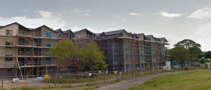 Google Street View image showing some of the trees which have now been chopped down