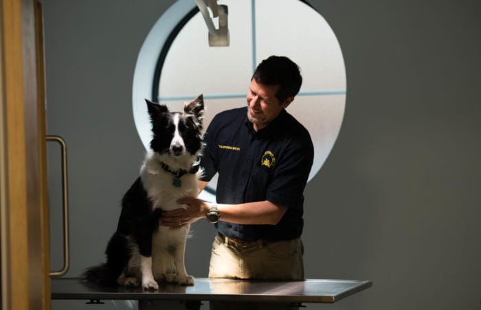 Head Vet Tom McGowan is pictured at the new Acorn practice in one of the consulting rooms with Ernie the dog.