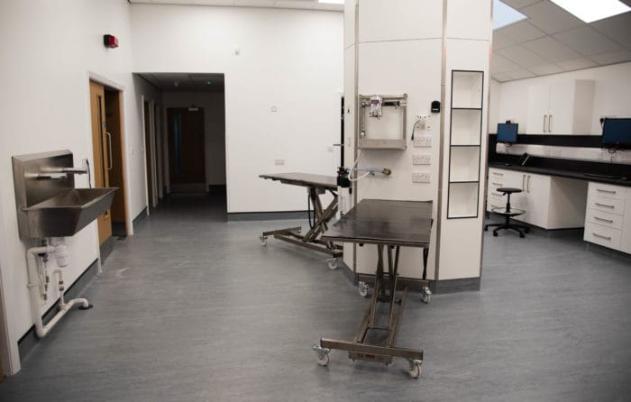 The prep area at Acorn Veterinary Centre which is the heart of the surgery. Much of the treatment, blood collection and preparing pets for surgery takes place here.