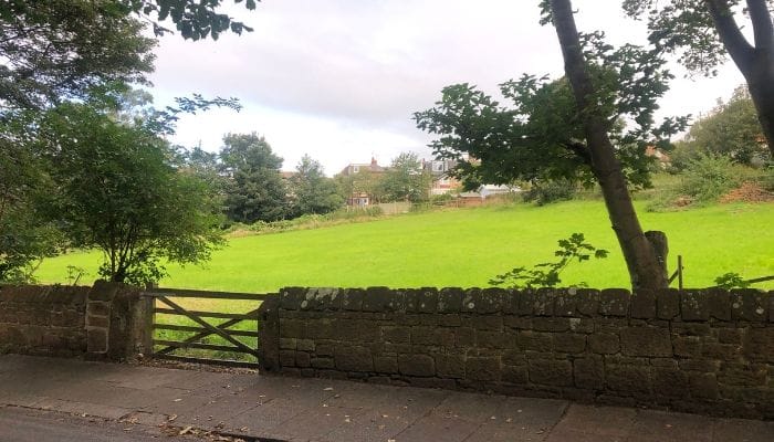 The field adjacent to the Rectory Road stables