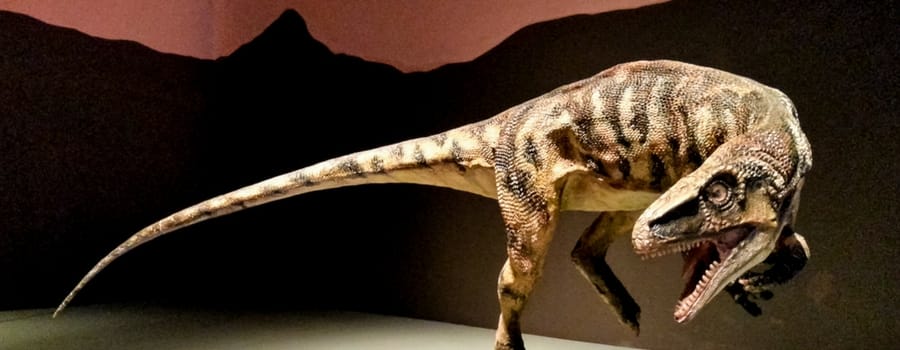 Experts claim to have found one of the UK's oldest dinosaur fossils in West Kirby