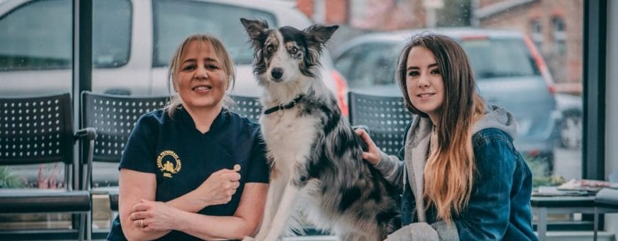 Dog takes top spot at Crufts after West Kirby vets save her life