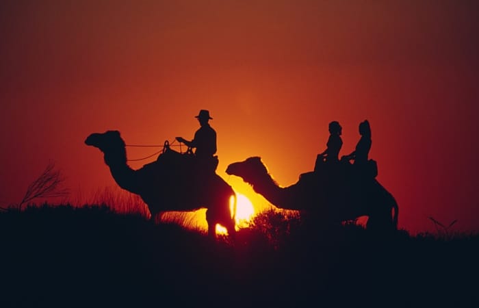 Just keep ahead of the camels