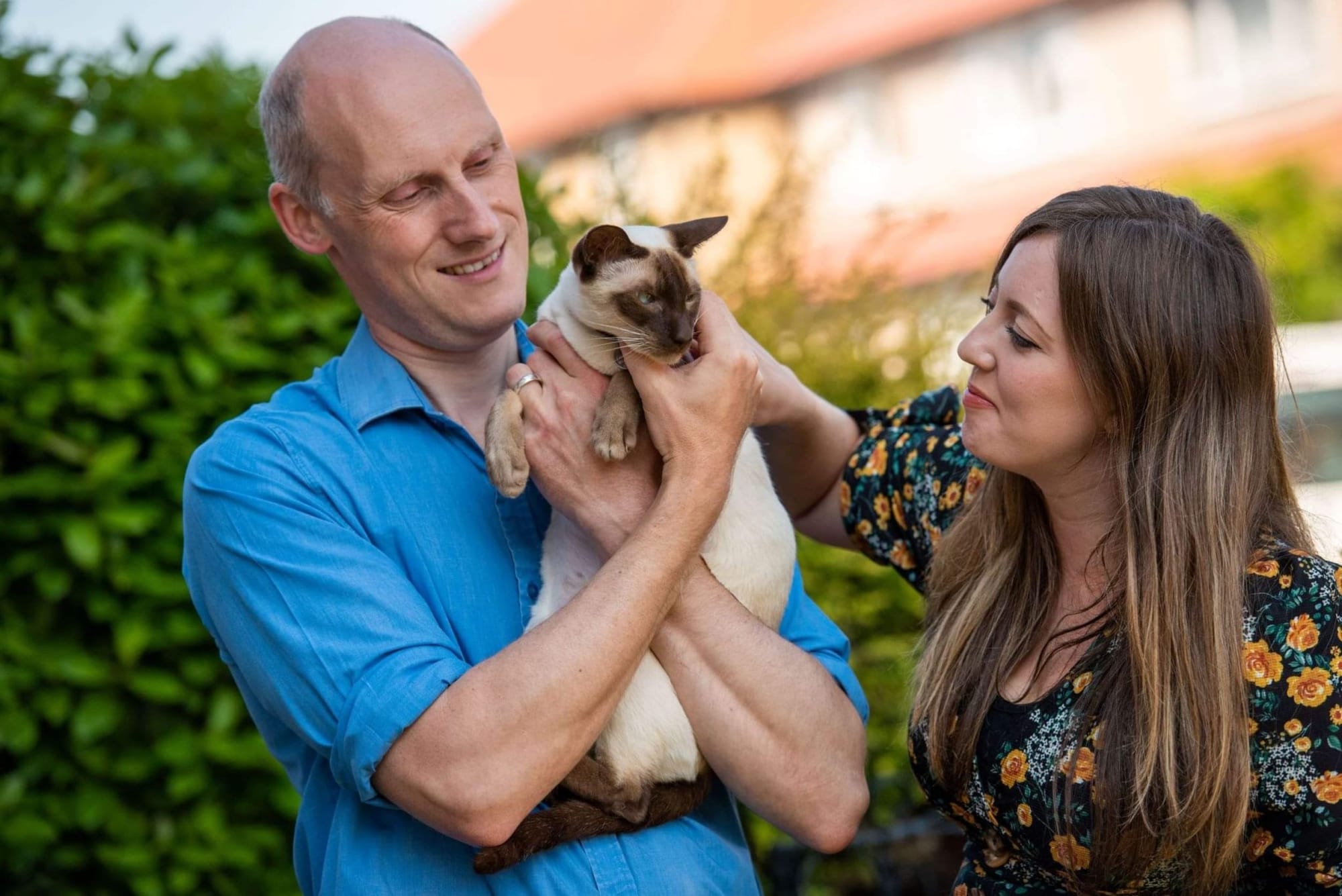 Cat’s brush with death after vets find stomach full of hair bobbles