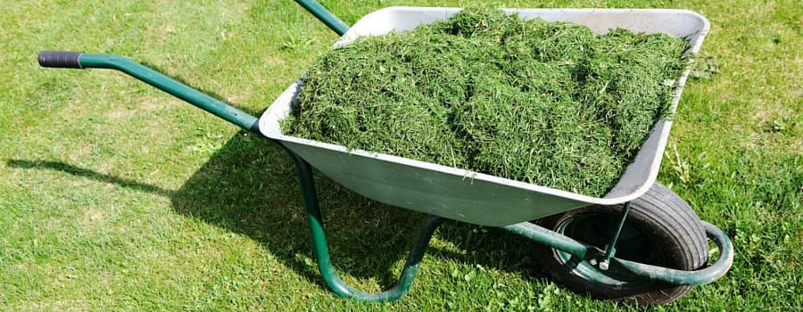 Subscriptions due for garden waste collections