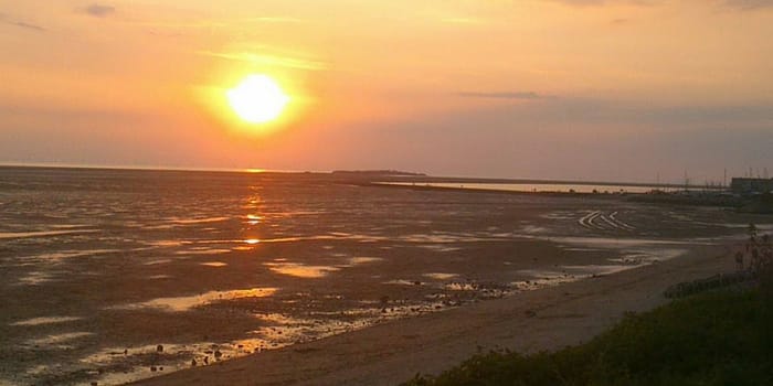 Farewell 2020, hello 2021 - read our reasons to be cheerful