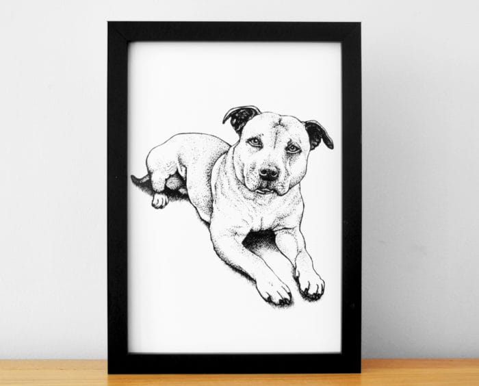 Gemma's Pet Portraits