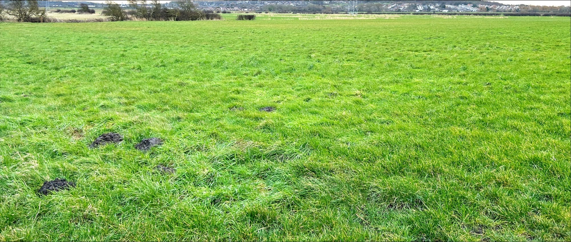 Flood mitigation scheme given go-ahead