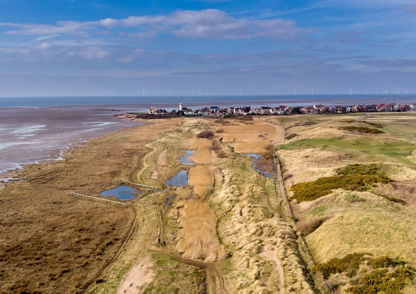 Maintenance work to protect rare toads and butterflies at Red Rocks