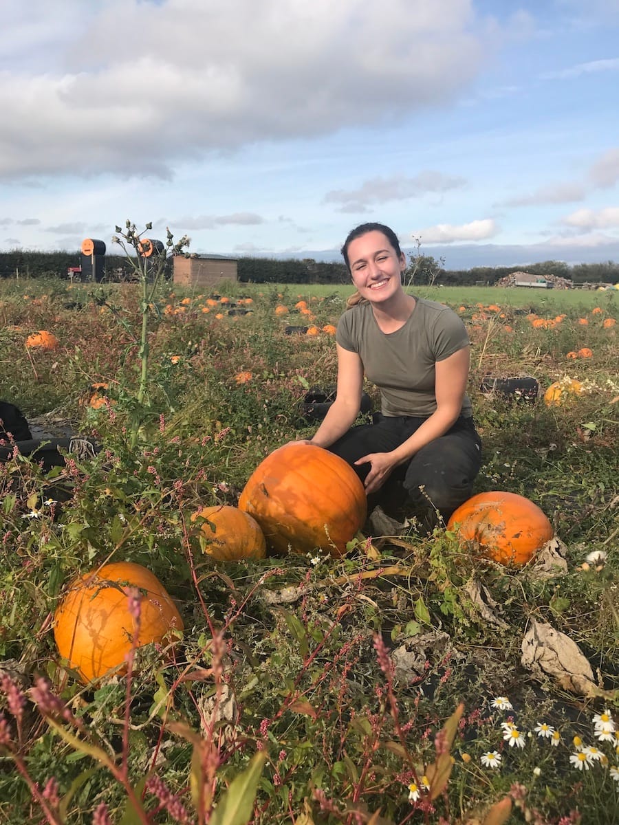 Farm worker Abby with pumpkins