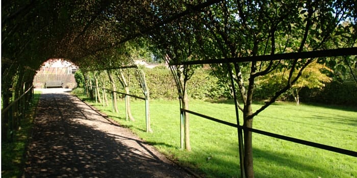 A bench in the walled garden at Royden Park