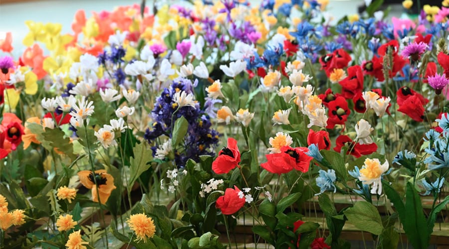Pupils help create paper wildflower exhibition to mark country park's half century
