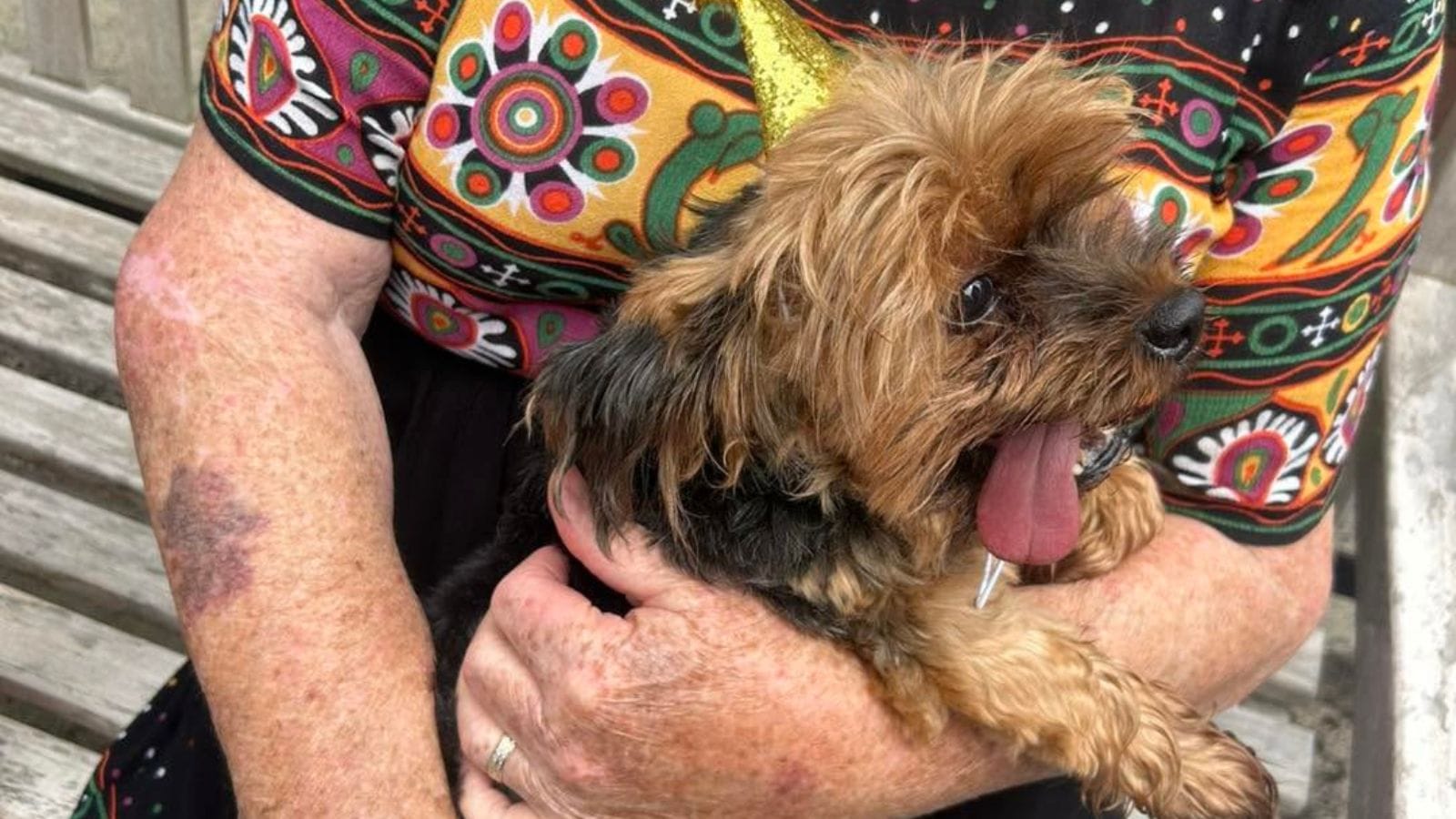 A pup and a resident at the puppy party.