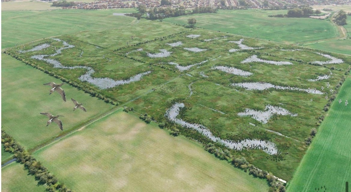 Hoylake Carrs wetlands work gets under way