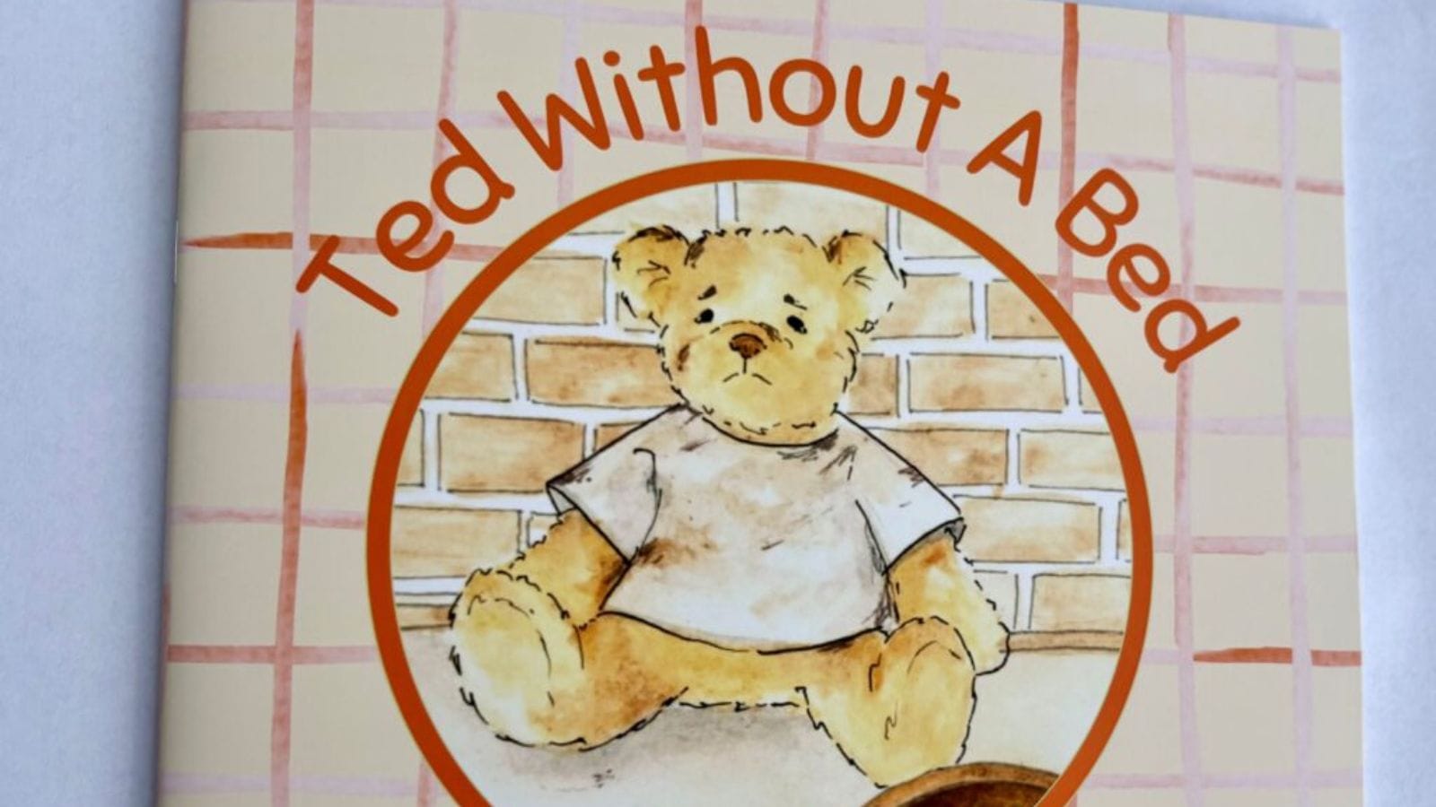 The Ted Without a Bed book cover.