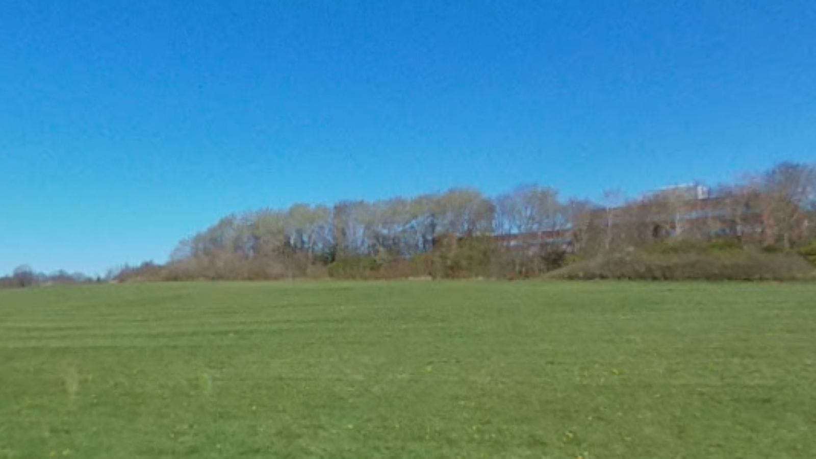 Google Maps view of Arrowe Park playing fields.