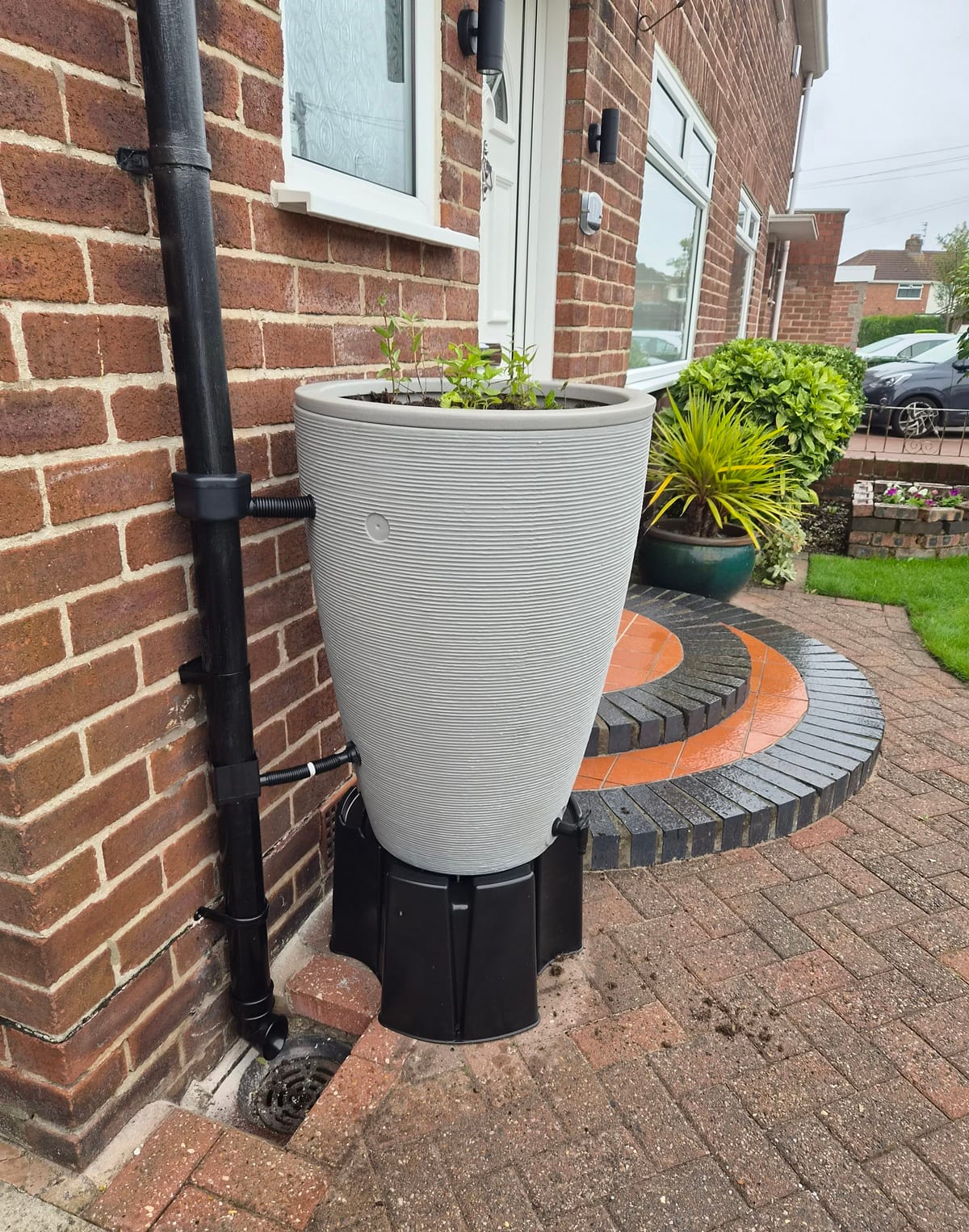 Free rainplanters for Hoylake residents
