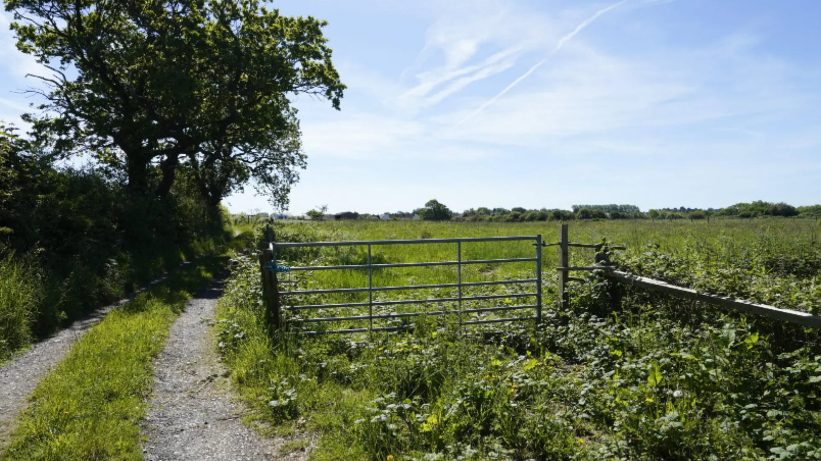 Part of the land on Woodlands Road, Irby.