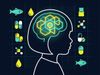 How Supplements Can Boost Your Child’s Brain
