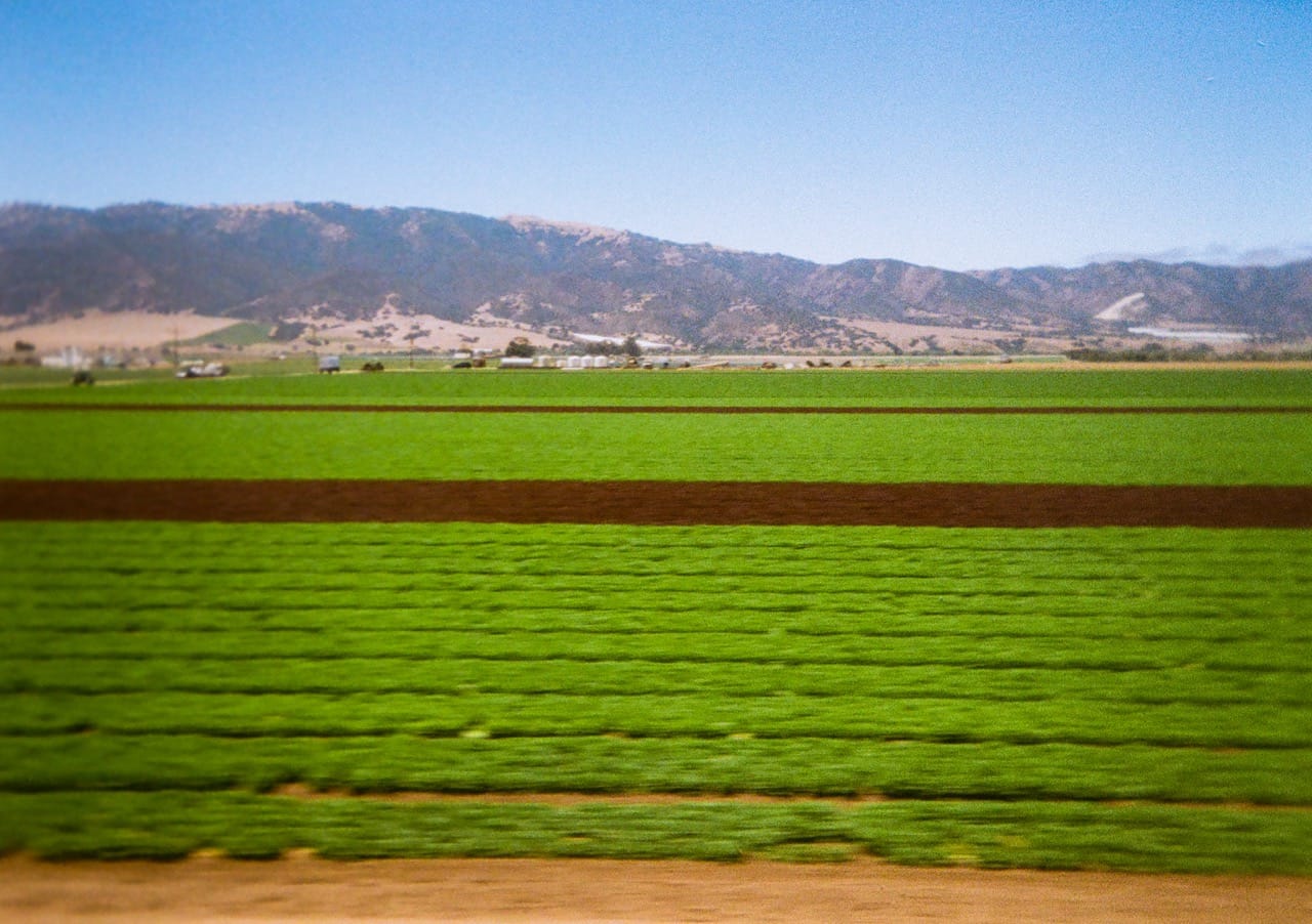 a color photograph of green and red lettuce fields in the foreground and mountains in the background under a blue sky. The lettuces closest to the camera have motion blur because of photographing from a moving train