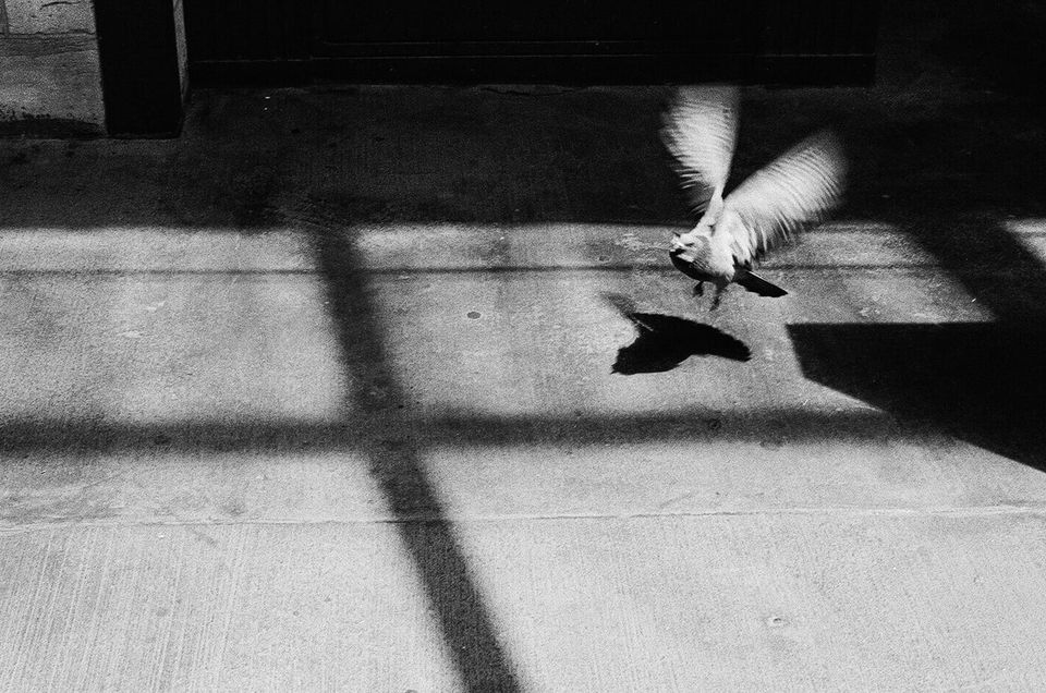 Contact