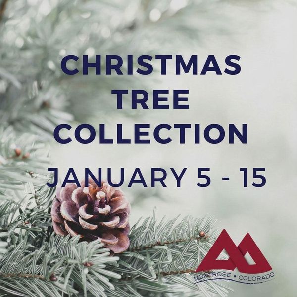 Annual Christmas Tree Cleanup Begins January 5 in Montrose