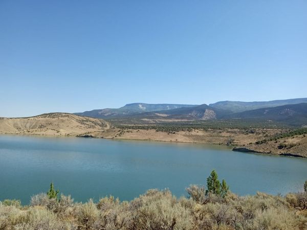 Juniata Reservoir to Be Drained for Dam Repairs; Public Fish Salvage Expands Fishing Access