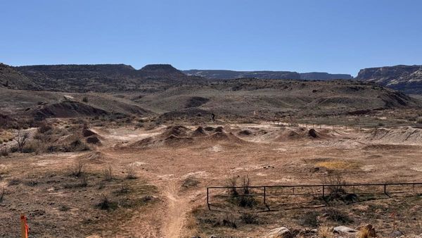 Bike Parks, Tree Protection, and Irrigation Changes: What’s Happening in Grand Junction Parks Right Now