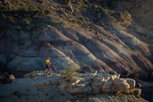 June Western Slope Community Guide: Local Wine Workshops, Historic Festivals, and Civic Forums