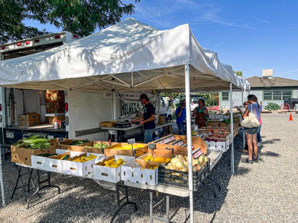 Western Slope Weekend Guide: Fair Season Warm-Up, Live Music, Quilts, Cars, and Library Finds