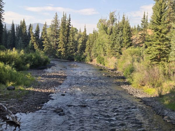 CPW Requests Afternoon Fishing Pause on Three Gunnison-Area Streams as Drought Stresses Trout