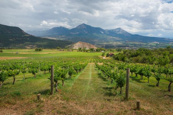 The North Fork Valley Closes November 1. Here's the Window.