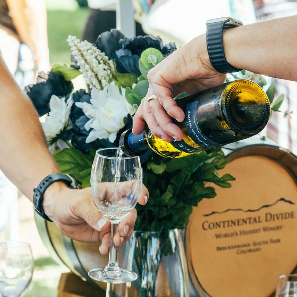 Winefest in Palisade, Ranch Rodeo in Montrose: Your Western Slope Weekend, Sept. 18–20
