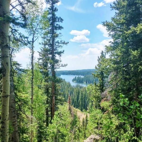 The Grand Mesa: 300 Lakes, an Hour From the Desert