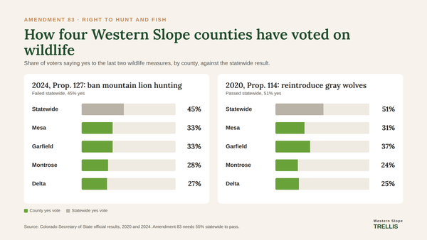 Western Slope Voters Face Choices on Hunting Rights and Wildfire Funding